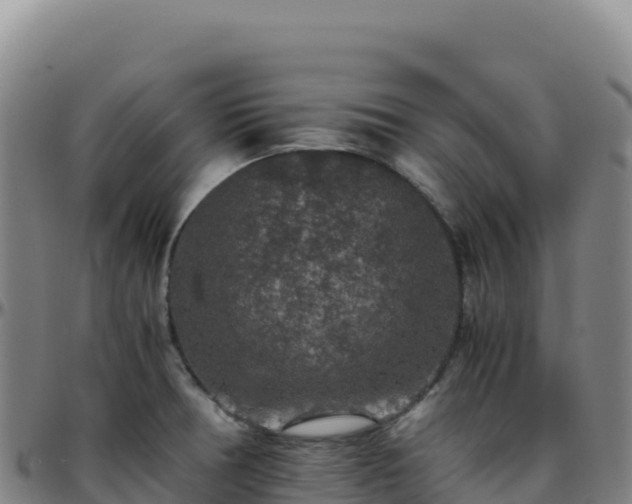 X0000096481378200801311547