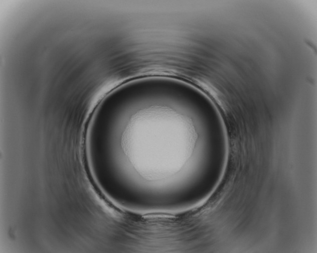 X0000096481379200801311547