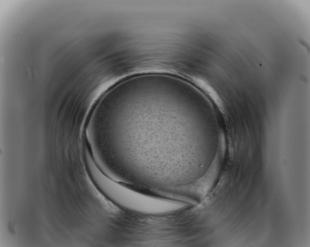 X0000096481380200801311547