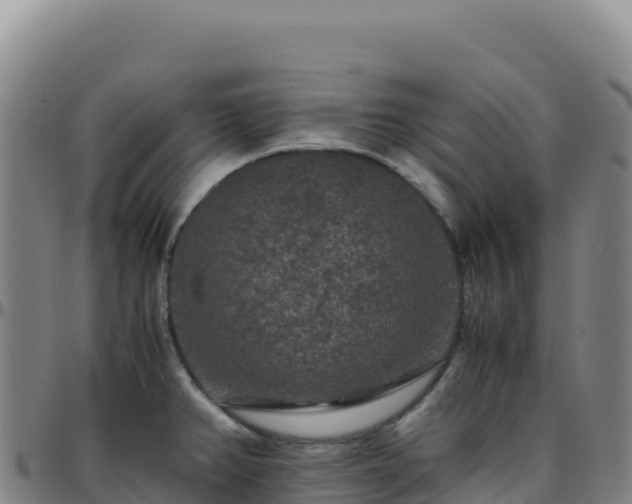 X0000096481382200801311547