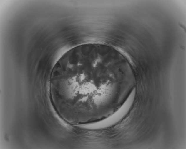 X0000096481383200801311547