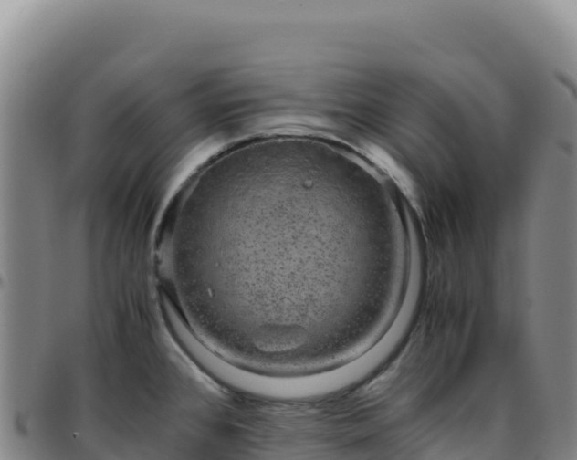 X0000096481384200801311547