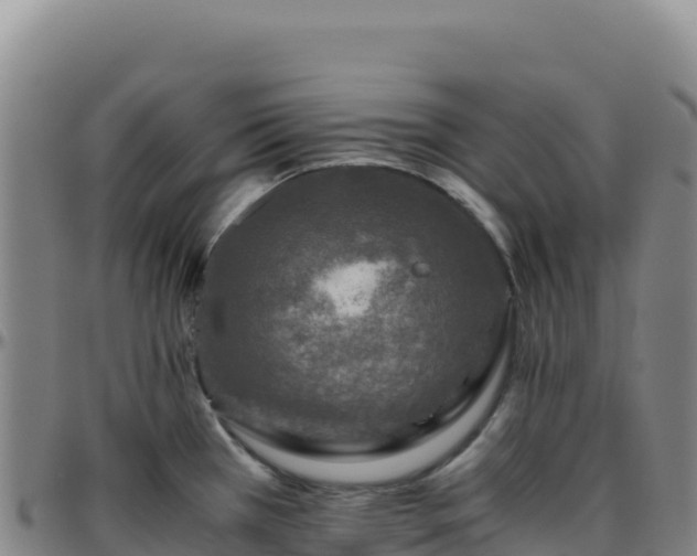 X0000096481385200801311547