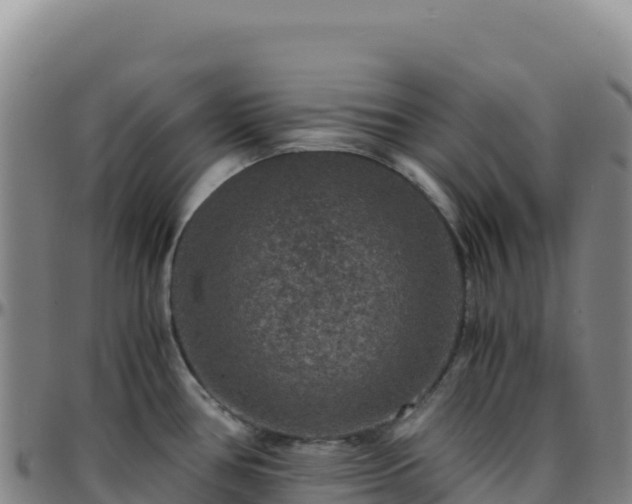 X0000096481386200801311547