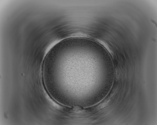 X0000096481387200801311547