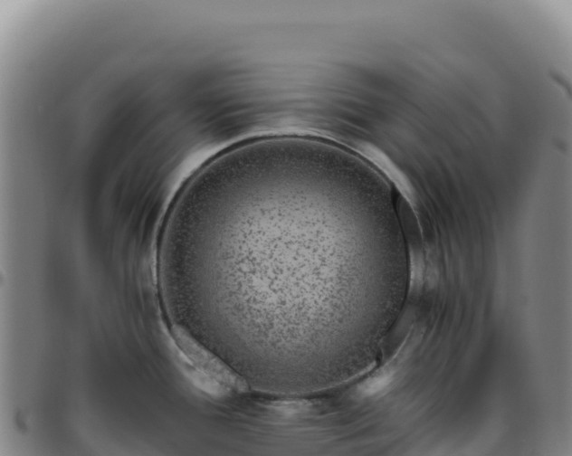 X0000096481388200801311547