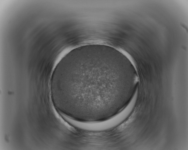 X0000096481389200801311546