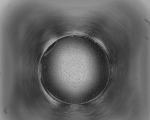 X0000096481391200801311546