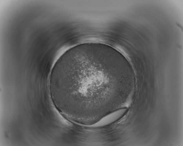 X0000096481392200801311546