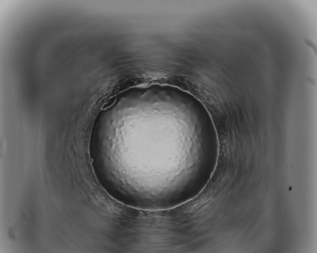 X0000096481393200801311546