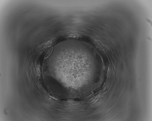 X0000096481394200801311546