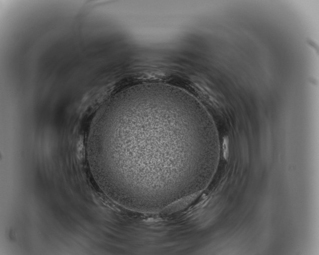 X0000096481395200801311546