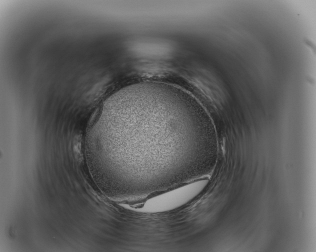 X0000096481396200801311546