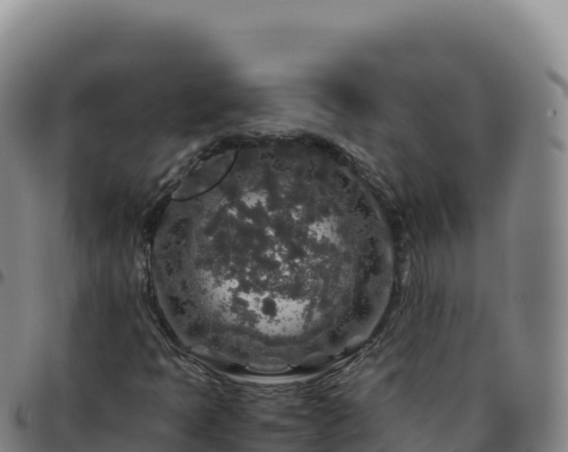 X0000096481397200801311546