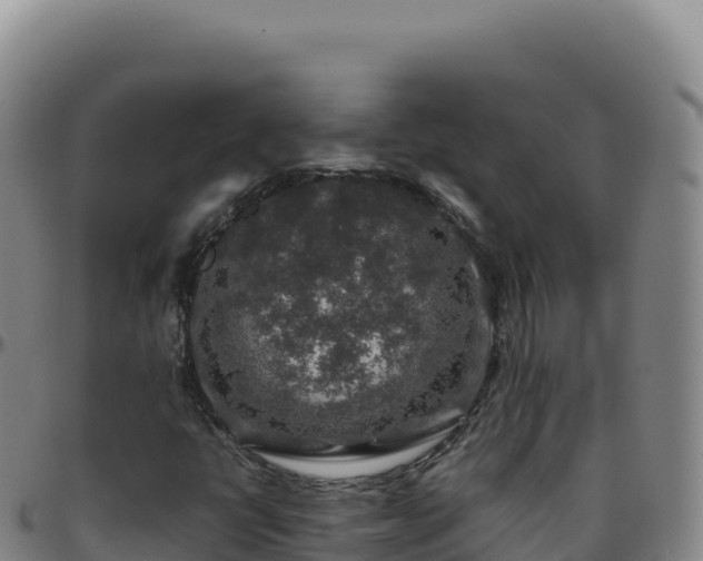 X0000096481398200801311546