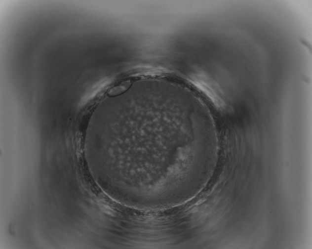 X0000096481399200801311546