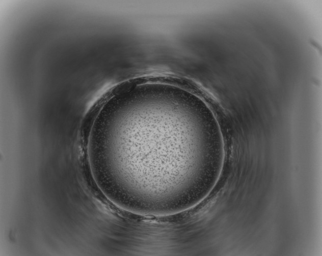 X0000096481400200801311546