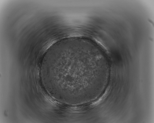 X0000096481401200801311546