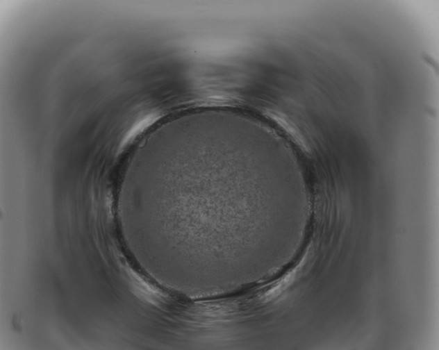 X0000096481402200801311546