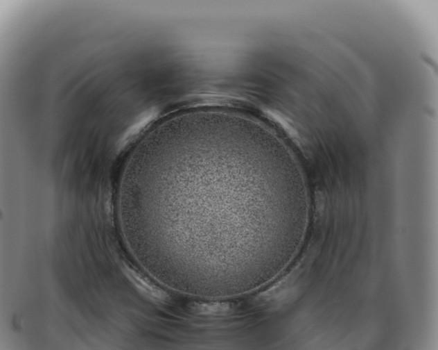 X0000096481403200801311546