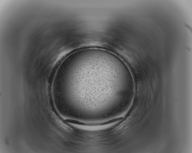 X0000096481404200801311546