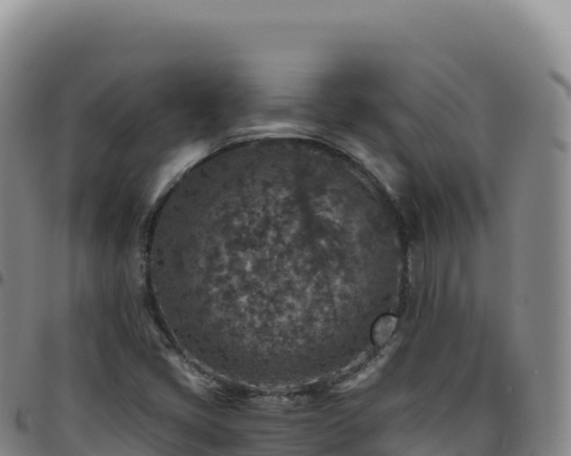 X0000096481405200801311546