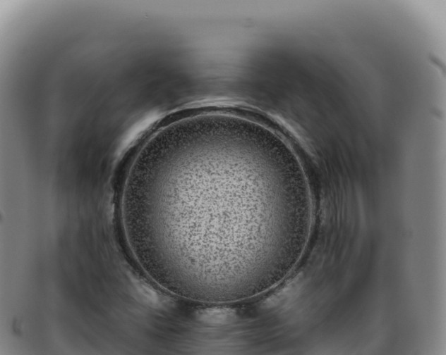 X0000096481406200801311546