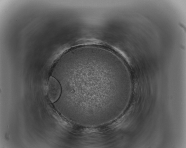 X0000096481407200801311546