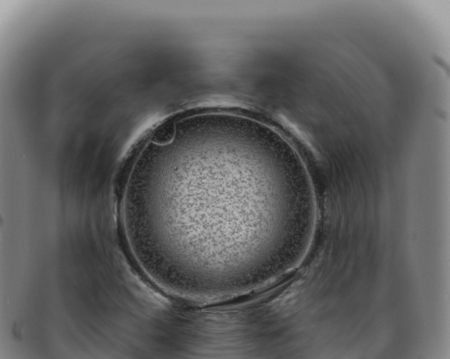 X0000096481408200801311546