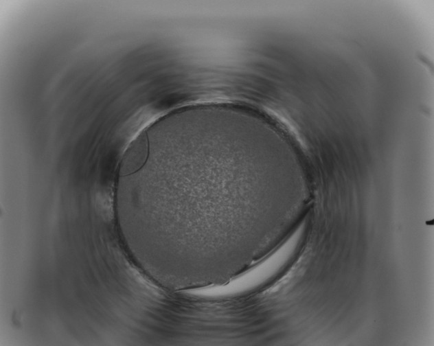 X0000096481409200801311546