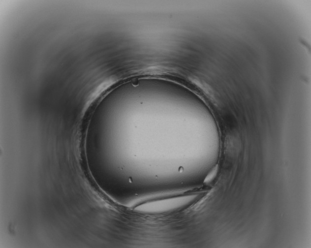 X0000096481410200801311546