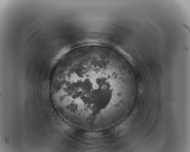 X0000096481411200801311546