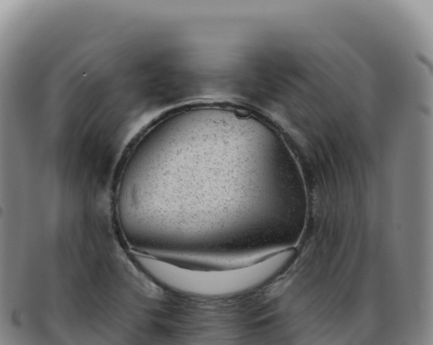 X0000096481412200801311546