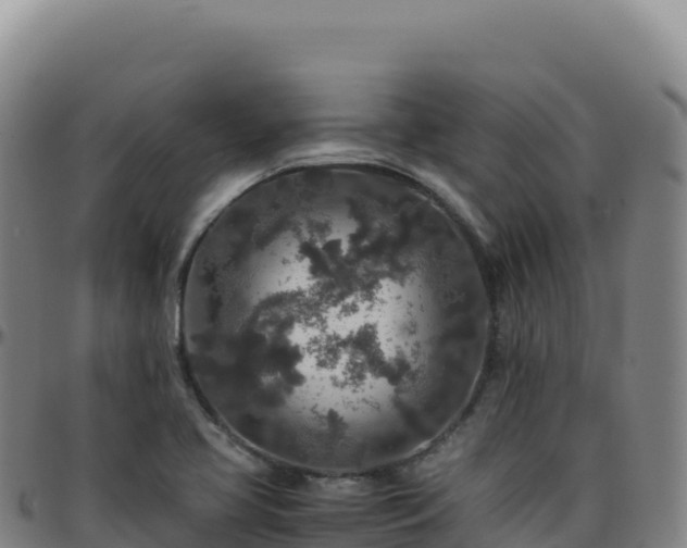 X0000096481413200801311546