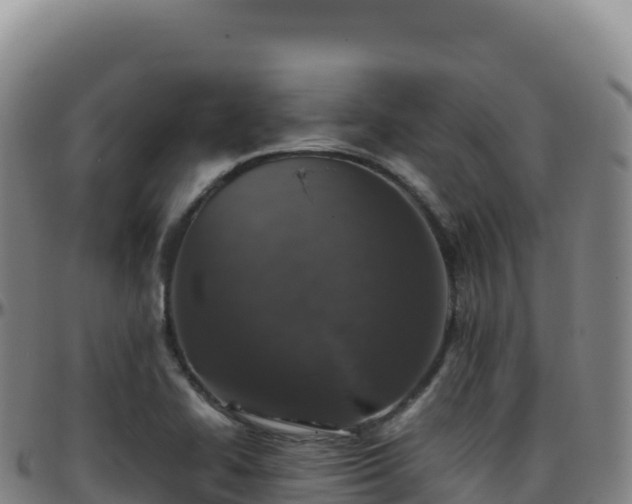 X0000096481414200801311546