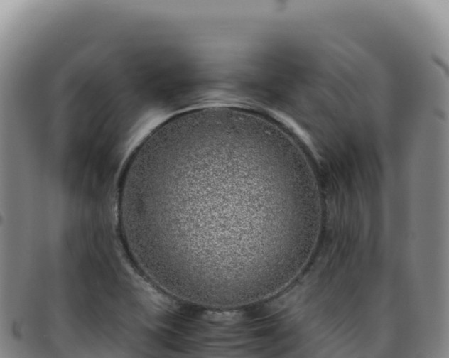 X0000096481415200801311546