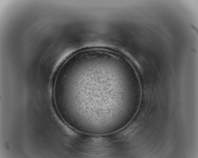 X0000096481416200801311546