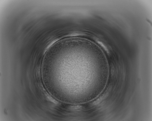 X0000096481417200801311546