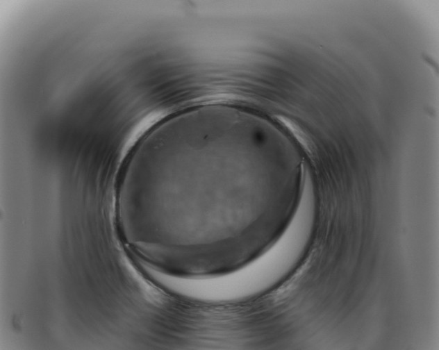 X0000096481418200801311546