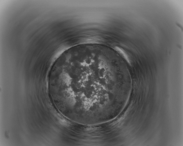 X0000096481419200801311546