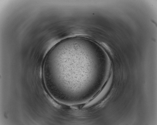 X0000096481420200801311546