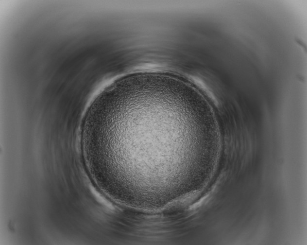 X0000096481421200801311546