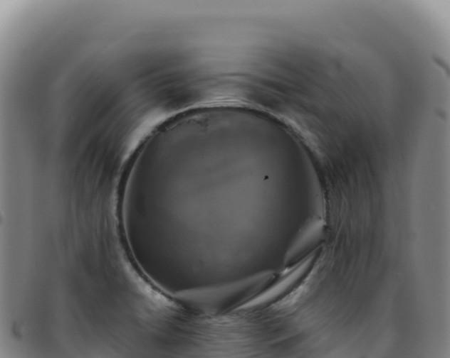 X0000096481422200801311546