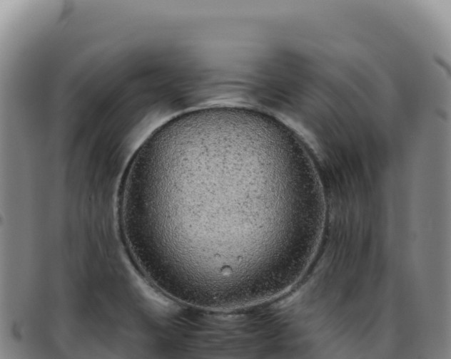 X0000096481423200801311546