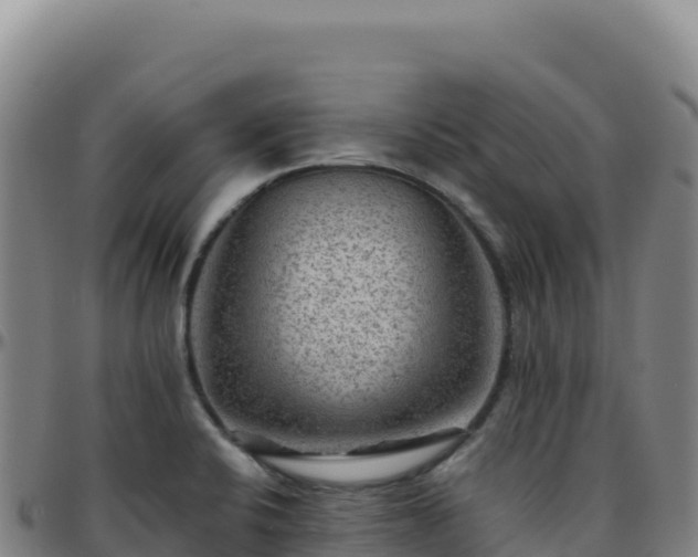 X0000096481424200801311546