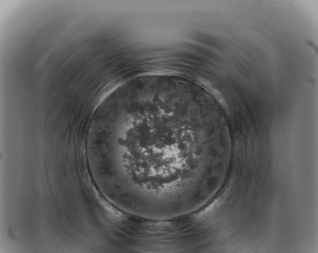 X0000096481425200801311546