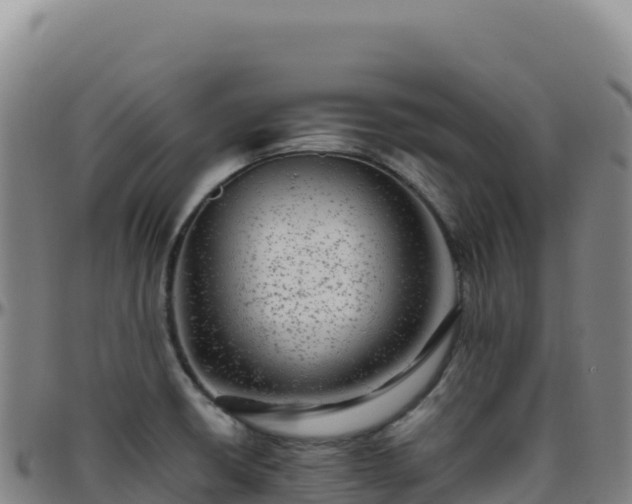 X0000096481426200801311546