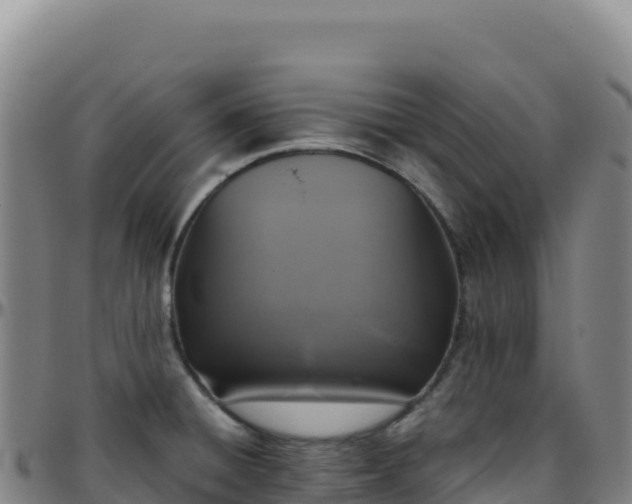 X0000096481428200801311546