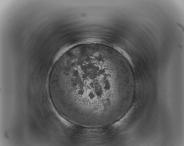 X0000096481429200801311546