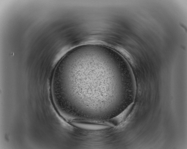 X0000096481430200801311546